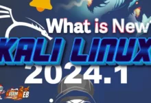 تم إصدار Kali Linux 2024.1: أدوات جديدة ومظهر محدث والمزيد