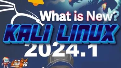 تم إصدار Kali Linux 2024.1: أدوات جديدة ومظهر محدث والمزيد