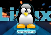 ما هو لينكس وما هو استخدامه؟ (التعرف على نظام التشغيل Linux)