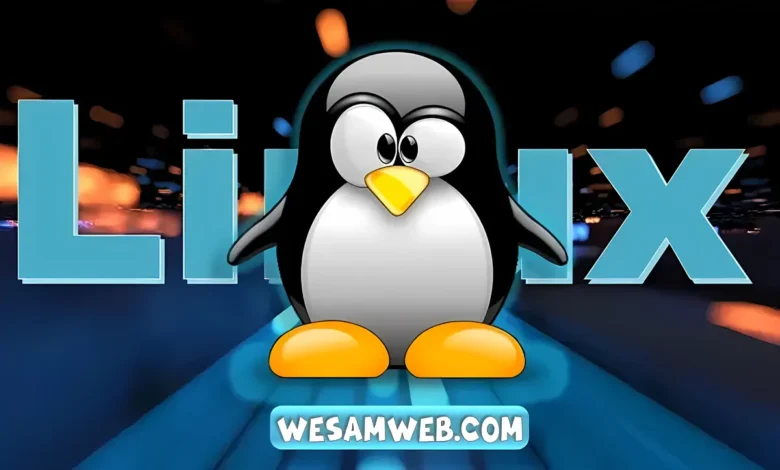 ما هو لينكس وما هو استخدامه؟ (التعرف على نظام التشغيل Linux)