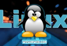 ما هو لينكس وما هو استخدامه؟ (الإلمام بنظام التشغيل Linux)