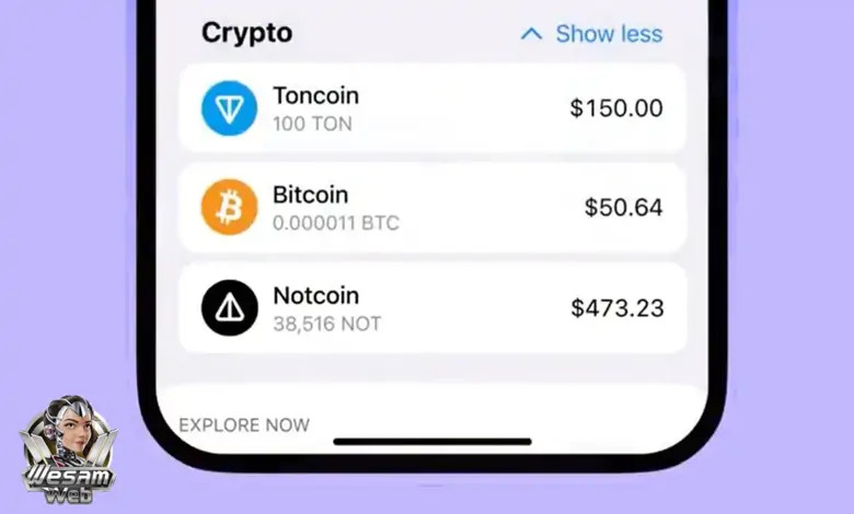 محفظة Notcoin