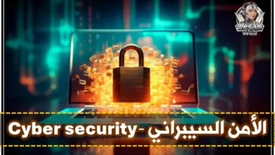 الأمن السيبراني Cyber ​​security؛ كيف نحمي خصوصيتنا على الإنترنت؟