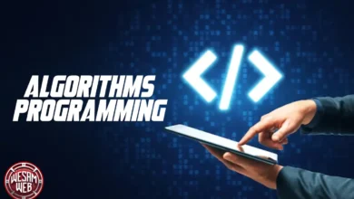 ما هي خوارزميات البرمجة (Algorithms Programming)؟