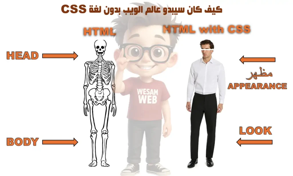 يمكن تشبيه HTML بالهيكل العظمي الذي يشكل القاعدة، في حين تمثل سي إس إس المظهر الخارجي الذي يمنح الصفحة هويتها البصرية ويجعلها أكثر جاذبية للمستخدم.