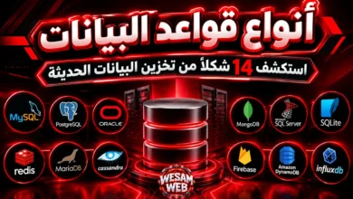 أنواع قواعد البيانات: استكشف 14 شكلًا من تخزين البيانات الحديثة