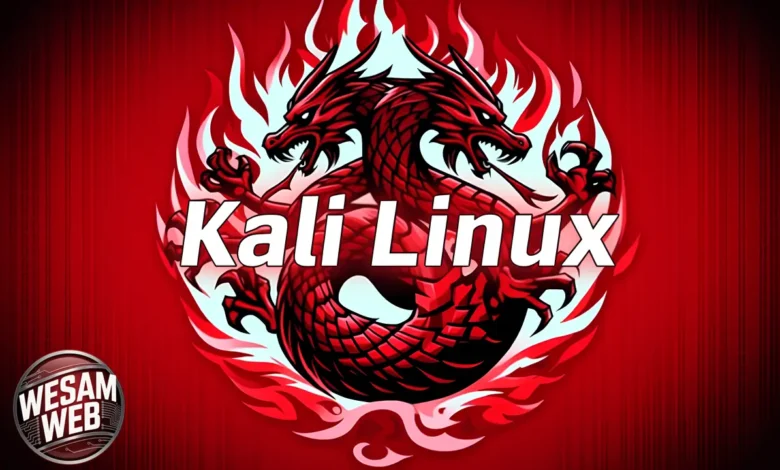 ما هو Kali Linux؟ نظام كالي لينكس في اختبار الاختراق والأمن السيبراني وكيفية تثبيته