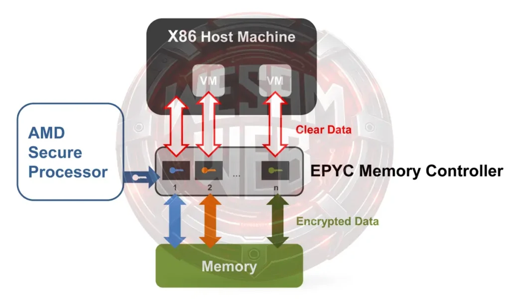 تقنية Secure Encrypted Virtualization SEV في معالجات AMD EPYC