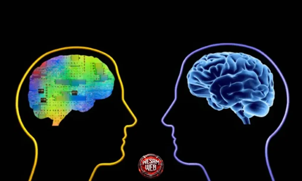 مفهوم الفهم Understanding في Computer Vision