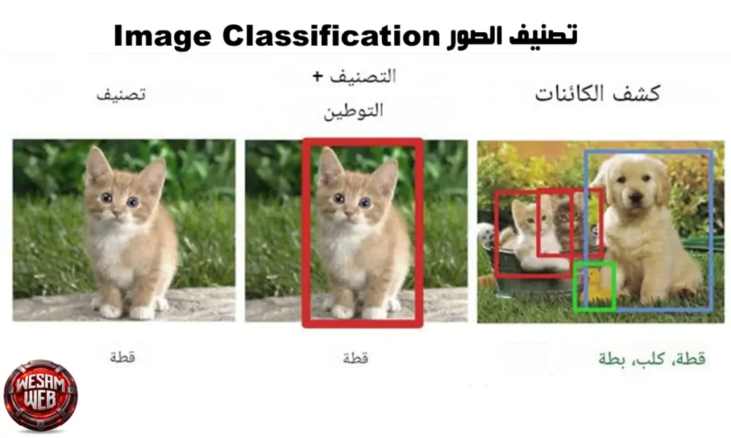 تصنيف الصور Image Classification