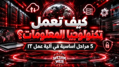 كيف تعمل تكنولوجيا المعلومات؟ 5 مراحل أساسية في آلية عمل IT