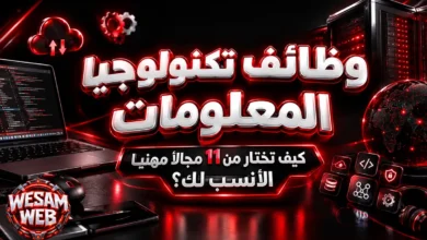 وظائف تكنولوجيا المعلومات: كيف تختار من 11 مجالا مهنيا الأنسب لك؟